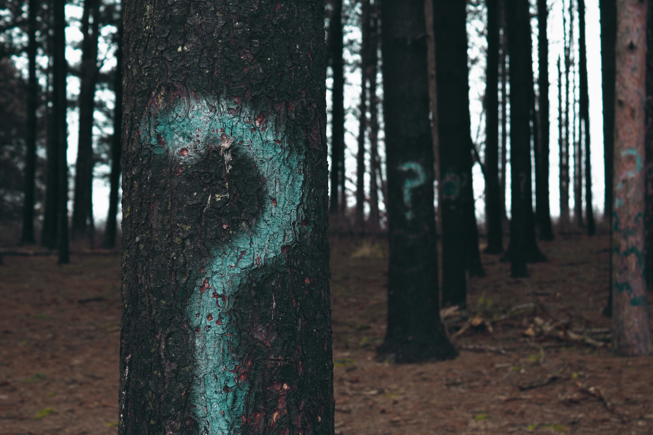 Les 5 questions qu’un leader devrait toujours poser