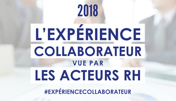 Expérience collaborateur