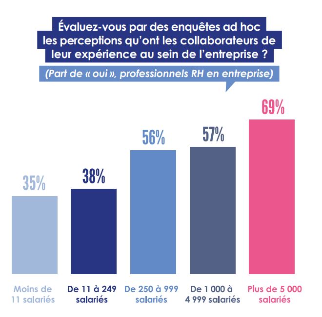 enquête par taille d'entreprise
