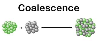 coalescence