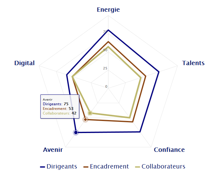 des différences de perception importantes dans les réponses au Diagnostic Management et Digital