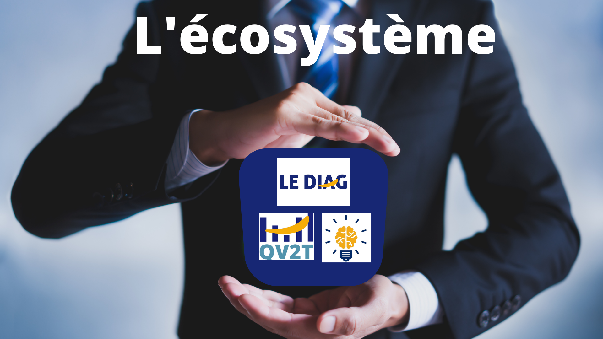 L’écosystème